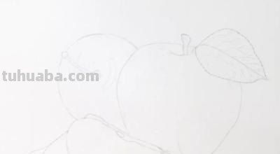 用彩铅画什么水果好看 榴莲彩铅画？