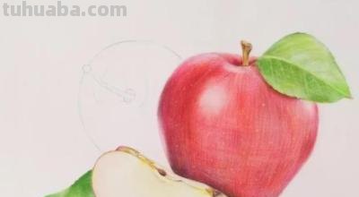 用彩铅画什么水果好看 榴莲彩铅画？