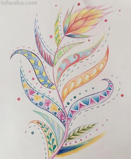 画彩铅 用什么笔勾线 彩铅上色的画,用什么勾线呢?