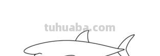 大鲨鱼的简笔画怎么画 鲨鱼简笔画教程？