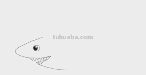 大鲨鱼的简笔画怎么画 鲨鱼简笔画教程？