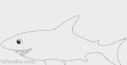 大鲨鱼的简笔画怎么画 鲨鱼简笔画教程？