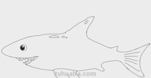 大鲨鱼的简笔画怎么画 鲨鱼简笔画教程？