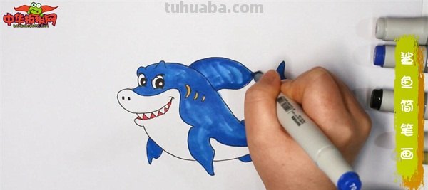 大鲨鱼的简笔画怎么画 鲨鱼简笔画教程？