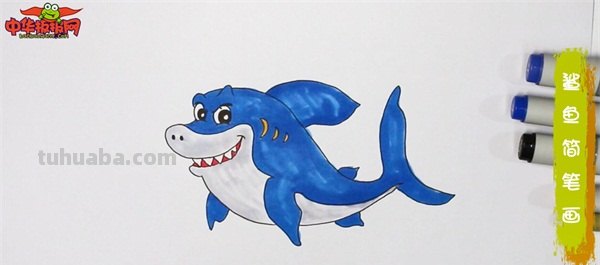 大鲨鱼的简笔画怎么画 鲨鱼简笔画教程？