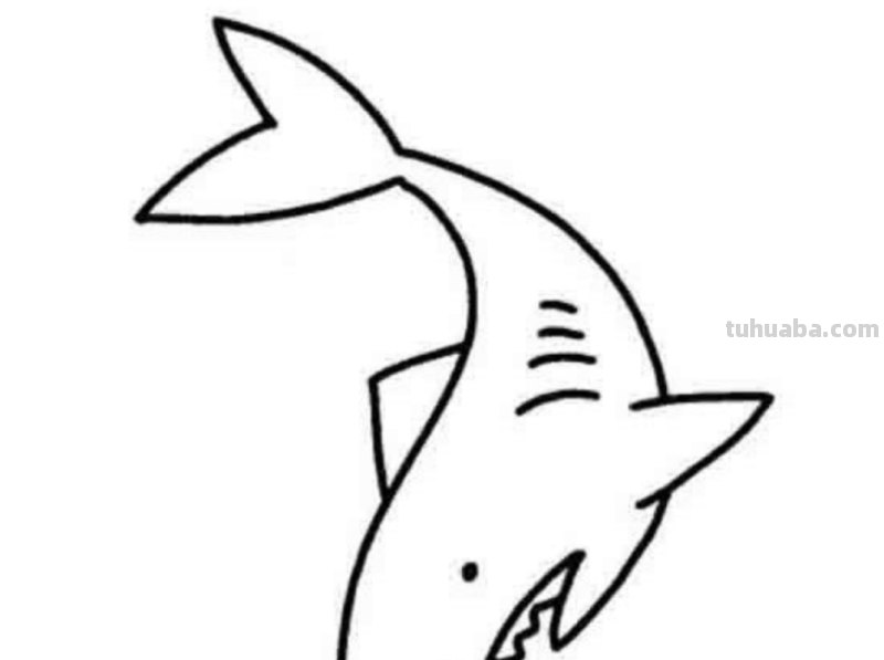 大鲨鱼的简笔画怎么画 鲨鱼简笔画教程？
