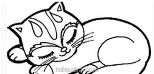 趴着的猫怎么画简笔画 趴着的小猫简笔画怎么画,怎么画趴着的小猫咪?