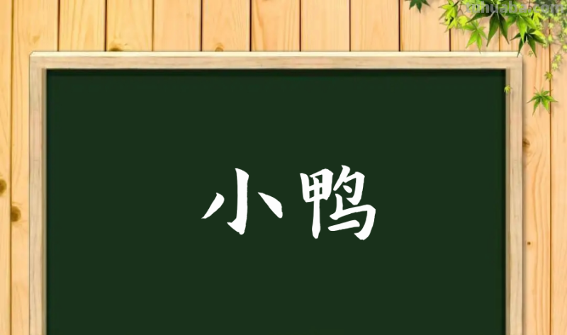 小鸭的拼音