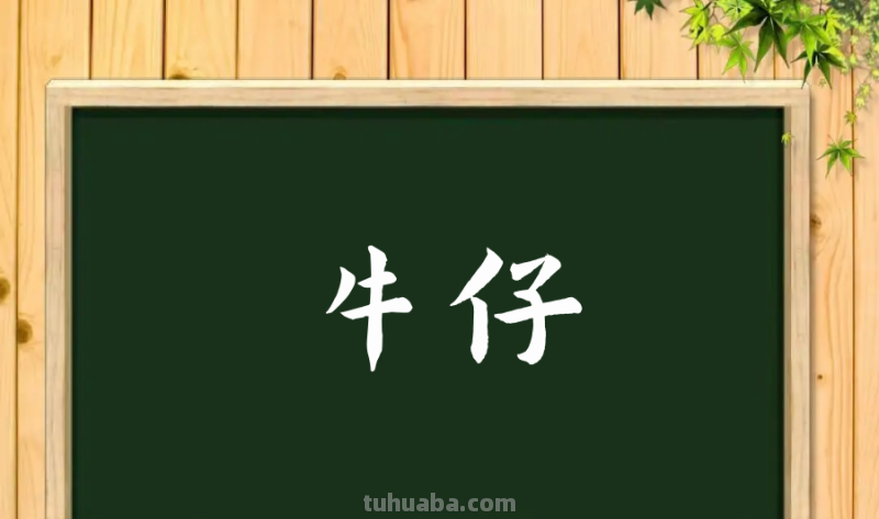 牛仔什么意思