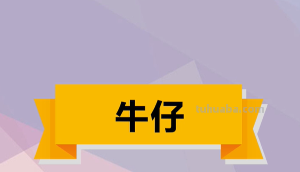 牛仔什么意思