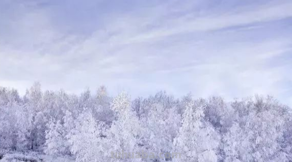 冬天有什么特点