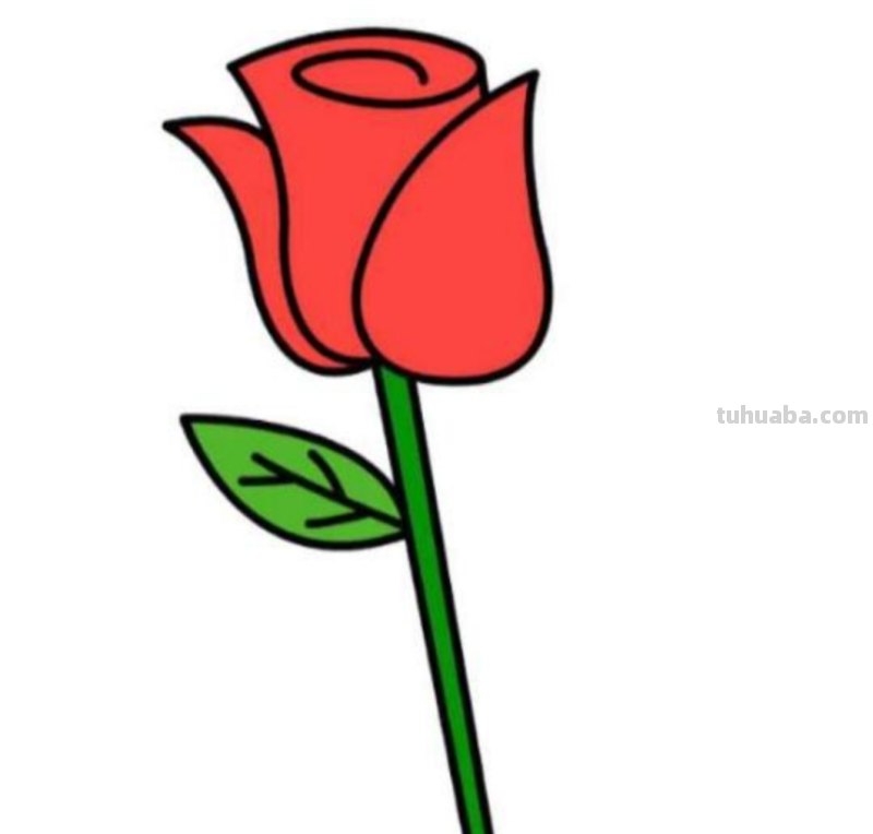 花玫瑰花怎么画简笔画 怎么画简笔画玫瑰花？