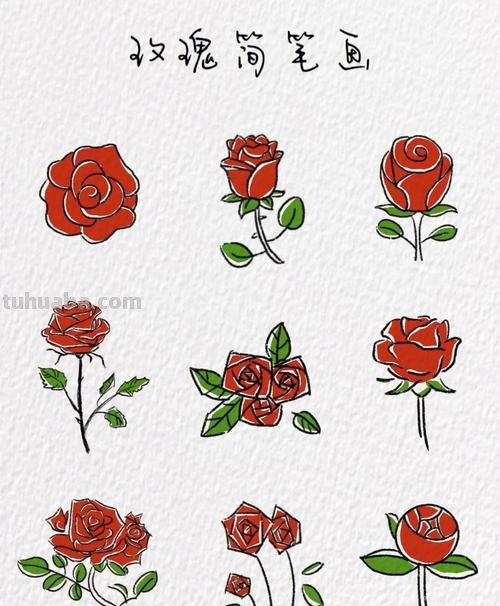 花玫瑰花怎么画简笔画 怎么画简笔画玫瑰花?
