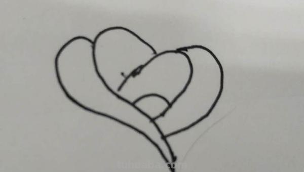 花玫瑰花怎么画简笔画 怎么画简笔画玫瑰花？