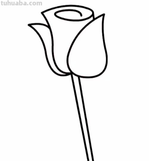 花玫瑰花怎么画简笔画 怎么画简笔画玫瑰花？