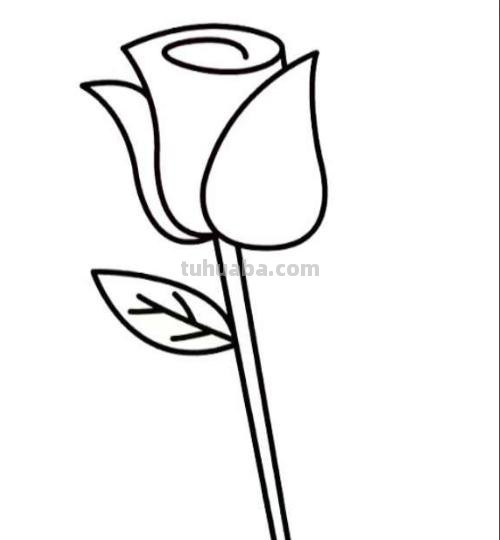 花玫瑰花怎么画简笔画 怎么画简笔画玫瑰花？