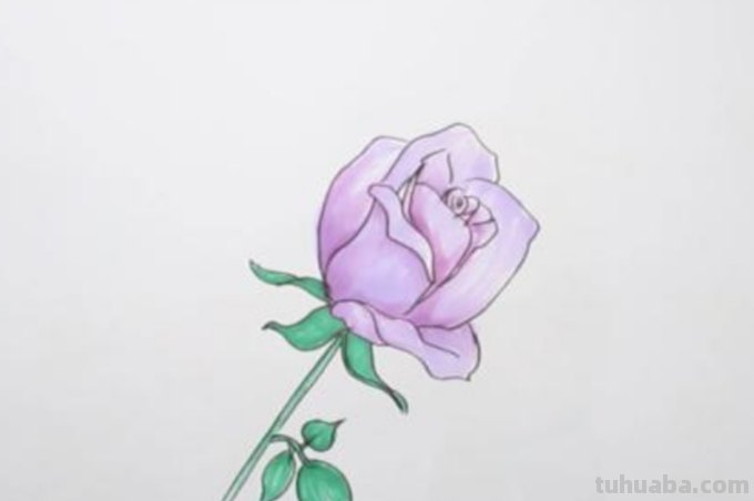 花玫瑰花怎么画简笔画 怎么画简笔画玫瑰花？