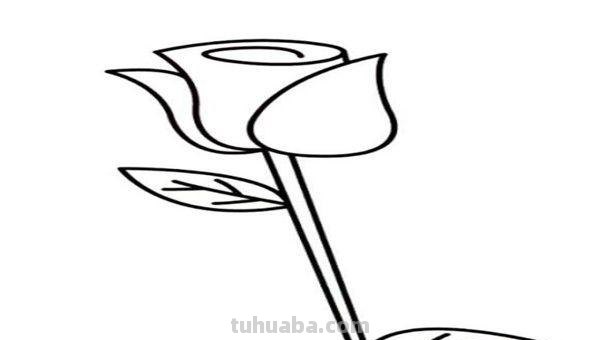 花玫瑰花怎么画简笔画 怎么画简笔画玫瑰花？