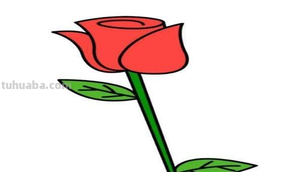 花玫瑰花怎么画简笔画 怎么画简笔画玫瑰花？