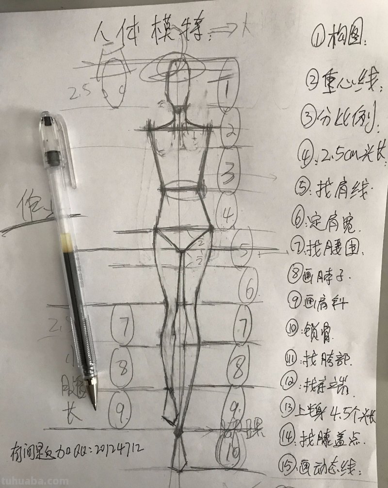 时装画的分类
