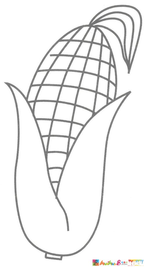 一片玉米怎么画简笔画 玉米的笔画?