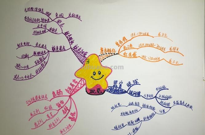 视觉基础思维导图怎么画 如何画思维导图?