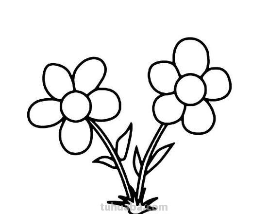 大花怎么画简笔画图片 简笔画：如何教小朋友画出美丽的花朵？
