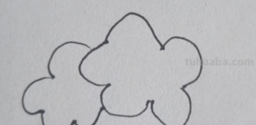 大花怎么画简笔画图片 简笔画：如何教小朋友画出美丽的花朵？