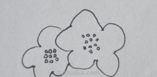大花怎么画简笔画图片 简笔画：如何教小朋友画出美丽的花朵？