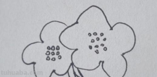大花怎么画简笔画图片 简笔画：如何教小朋友画出美丽的花朵？