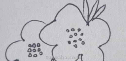 大花怎么画简笔画图片 简笔画：如何教小朋友画出美丽的花朵？