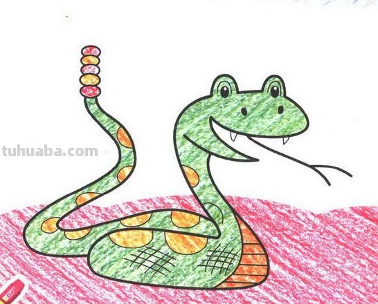 画蛇怎么画简笔画图片 如何画蛇蛇简笔画步骤图？