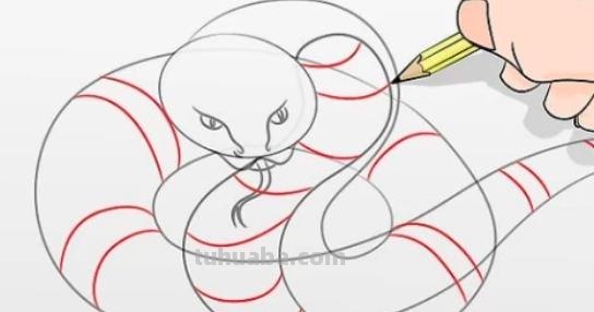 画蛇怎么画简笔画图片 如何画蛇蛇简笔画步骤图？