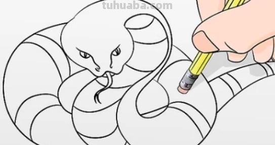 画蛇怎么画简笔画图片 如何画蛇蛇简笔画步骤图？