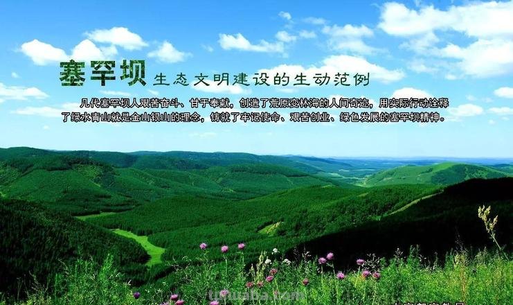 塞罕坝手抄报写什么 弘扬塞罕坝精神宣传标语?