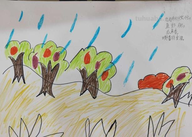 秋天的雨带来了什么简笔画 写一写秋天的雨给大自然带来了哪些事件带来了怎样的颜色?