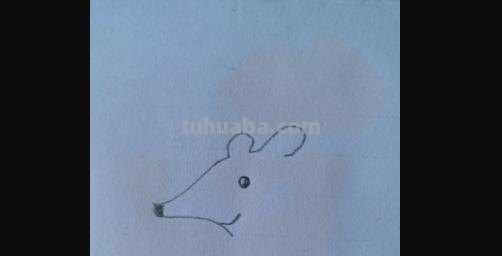 老鼠怎么画简笔画3加2 简笔画——老鼠的几种画法？