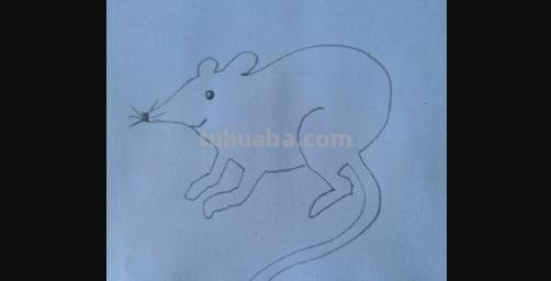 老鼠怎么画简笔画3加2 简笔画——老鼠的几种画法？