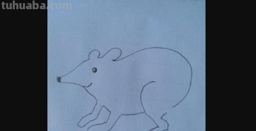 老鼠怎么画简笔画3加2 简笔画——老鼠的几种画法？
