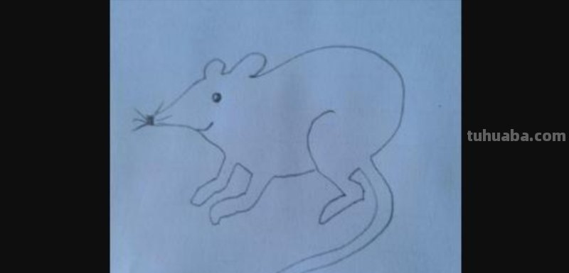老鼠怎么画简笔画3加2 简笔画——老鼠的几种画法？