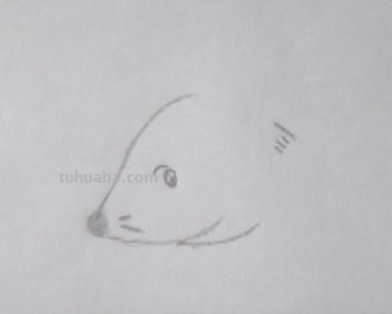 老鼠怎么画简笔画3加2 简笔画——老鼠的几种画法？