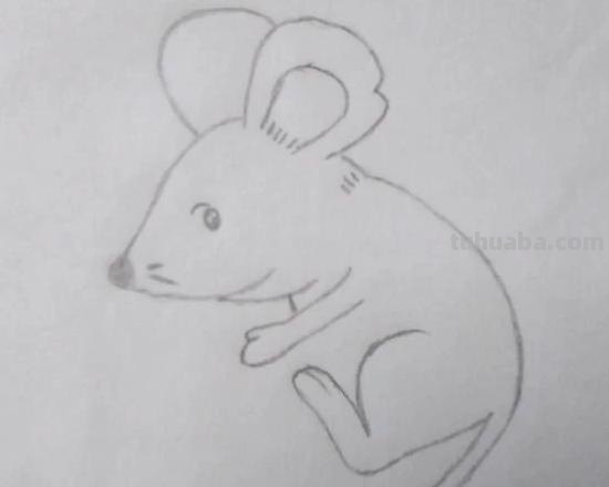 老鼠怎么画简笔画3加2 简笔画——老鼠的几种画法？