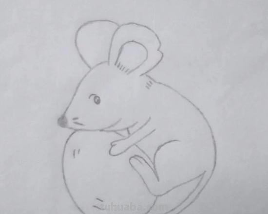 老鼠怎么画简笔画3加2 简笔画——老鼠的几种画法？