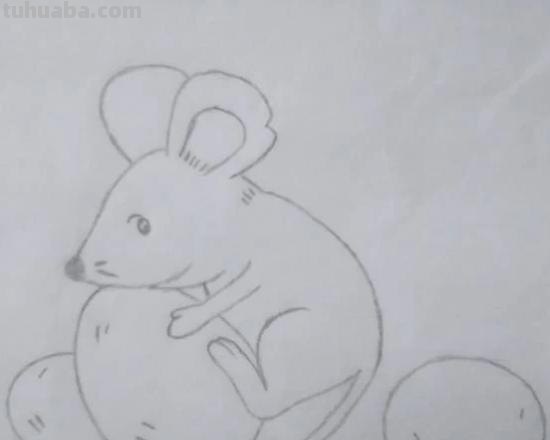 老鼠怎么画简笔画3加2 简笔画——老鼠的几种画法？