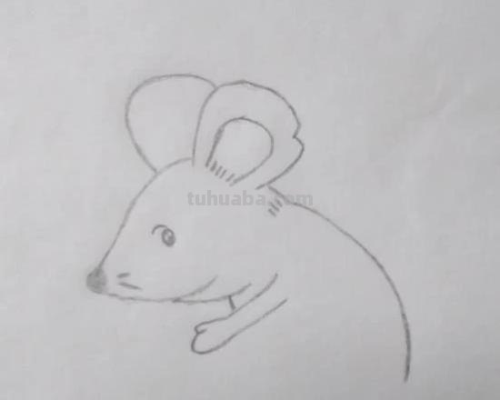 老鼠怎么画简笔画3加2 简笔画——老鼠的几种画法？