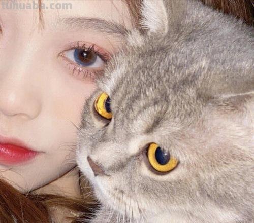 抱着猫 抱着猫的女生头像