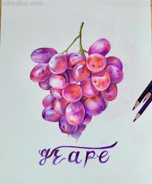 彩铅水果和葡萄怎么画 彩铅画的最简单的水果？