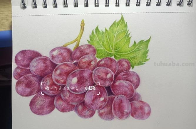 彩铅水果和葡萄怎么画 彩铅画的最简单的水果？