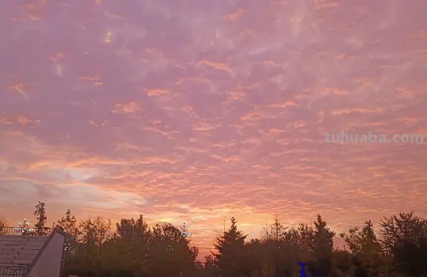 考学是什么意思