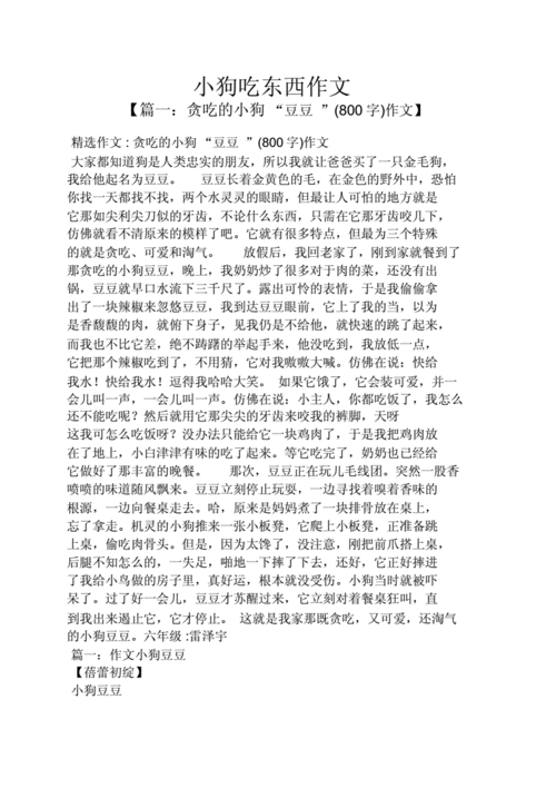 会做饭的小狗 会做饭的小狗作文